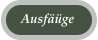 Ausf��ge